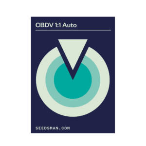 CBDV 1:1 Auto Feminised Seeds by Seedsman