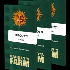Biscotti Feminised Cannabis Seeds by Barney's Farm