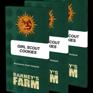Girl Scout Cookies Feminised Cannabis Seeds by Barney's Farm