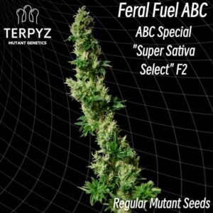 Feral Fuel ABC Regular Cannabis Seeds by TerpyZ Mutant Genetics