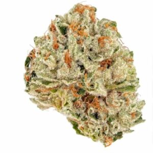 Socrates Sour Feminised Cannabis Seeds by Trilogene Seeds