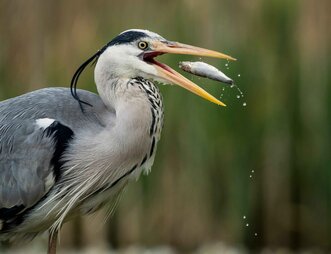 AdobeStock 767947685 scaled - phishing protection tips