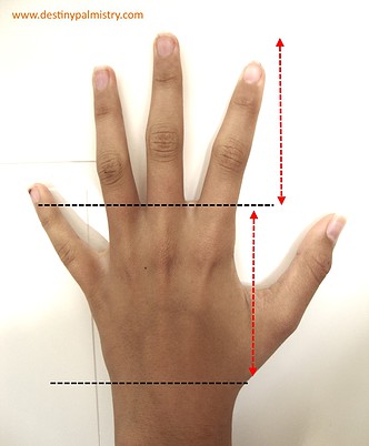 long fingers in palmistry