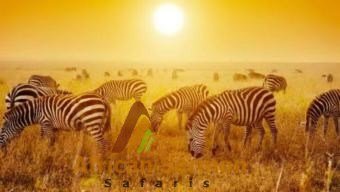 10-day-best-of-kenya-safari-tours-amboseli-national-park