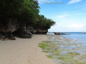 محمية جزيرة أولانجو للحياة البرية في الفلبين