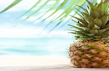 A-Tropical-Delight-Homemade-Pineapple-Sorbet-featured-image-200x600w-jpeg-two-pineapples-with-beach-and-sea-as-backdrop-frosted-fusions