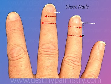 short fingernail