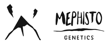 Mephisto genetics