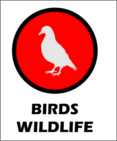 Birds wildlife control