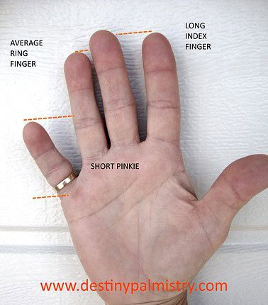 short pinkie, average ring finger length