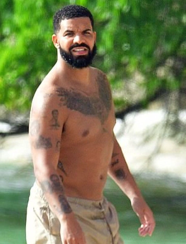 drake în 2010