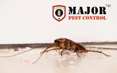 7 Powerful Cockroach Prevention Hacks You Need to Try Now