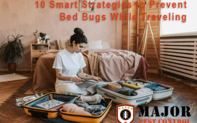 10 Smart Strategies to Prevent Bed Bugs While Traveling