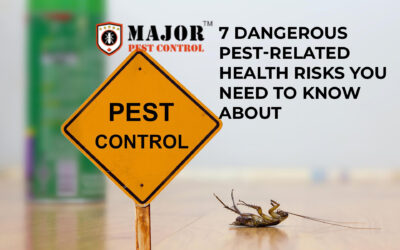 7 Dangerous Pest-Related Health Risks You Need to Know About