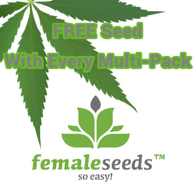 Female seeds free seed