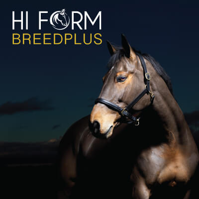 horse breeding supplements - Hi Form Breedplus