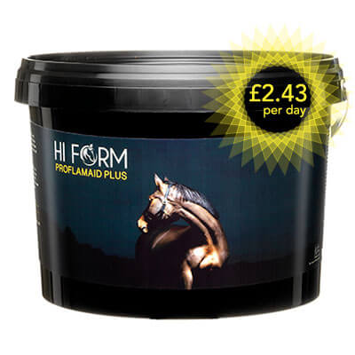 joint supplements for horses - Hi Form Proflamaid Plus Joint & Muscle Supplement