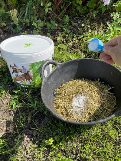 GARLIC, CINNAMON, OREGANO, ALL NATURAL ALL ROUND SUPPLEMENT