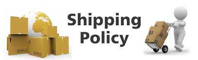 Shipping policy graphic with boxes and delivery figure
