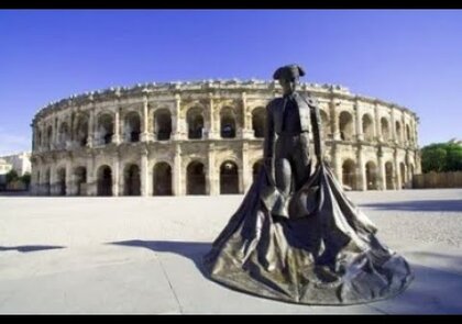0 - Suppression des nids de guêpes, frelons et frelons asiatiques à Nîmes (30000)
