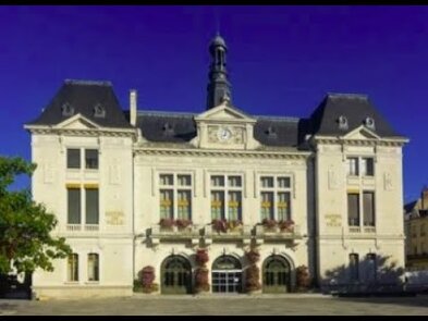 0 - Entreprise guêpes et frelons à Montluçon. Détruire les nids