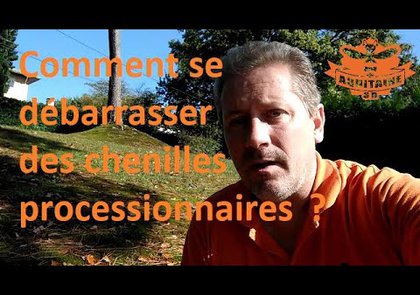 0 - Les chenilles processionnaires. Savoir comment réagir