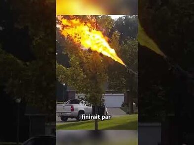 0 - Ruche de frelon : On parle plutôt de nid de frelons