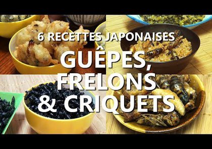 0 - Les frelons sont-ils comestibles ?