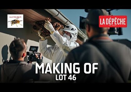 0 - Destruction des nids de frelons et guêpes à Sousceyrac-en-Quercy