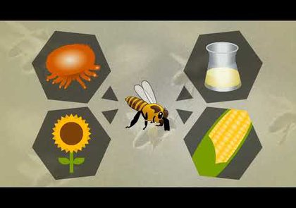 0 - Comment protéger les abeilles