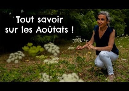 0 - Les aoutats: tout savoir sur ces êtres minuscules