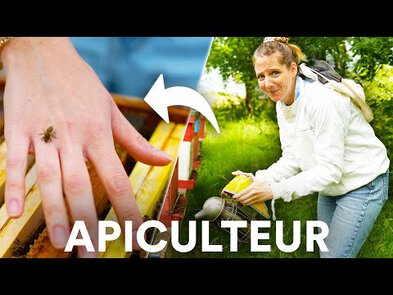 0 - professionnel nid de bourdon
