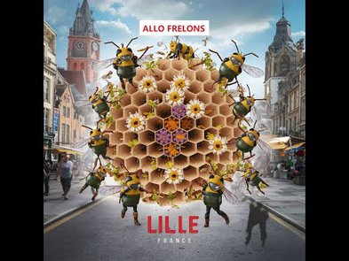 0 - Société de destruction des nids de guêpes et frelons à Lille, 59
