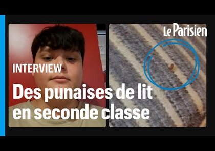 0 - Les punaises de lit dans les transports en commun : 6 conseils pour se protéger