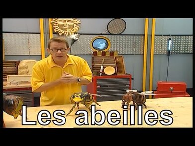 0 - Quelle est la différence entre une abeille et une guêpe ?