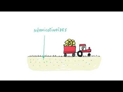 0 - Néonicotinoïdes : Impacts, Alternatives et Réglementation – Guide Complet