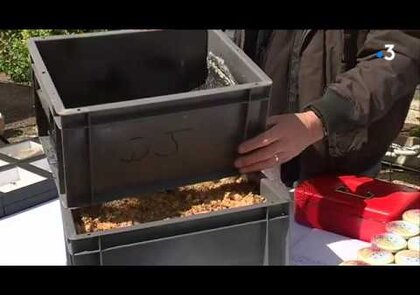 0 - Piège à frelons Jabeprode, primé au concours Lépine