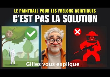 0 - Billes insecticides au paintball : méthode à utiliser de manière exceptionnelle, strictement professionnelle