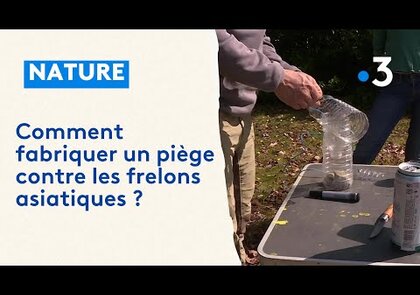 0 - perche pour frelons asiatique