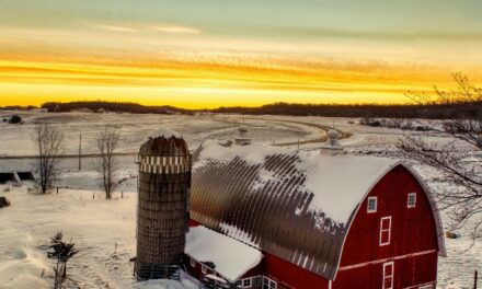 Christmas memories from the Germans from Russia