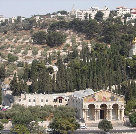 Peregrinaci&oacute;n a Tierra Santa