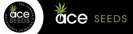 Ace seeds banner