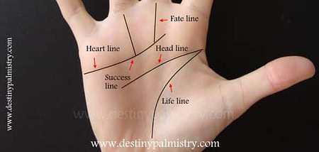 palmistry line, success line, fate line
