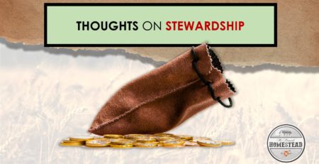 Thoughts on Stewardship