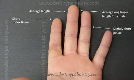 short or long finger meanings