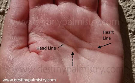 heart line connects to the head line