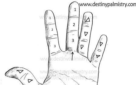 triangle mark on the fingers or fingertips
