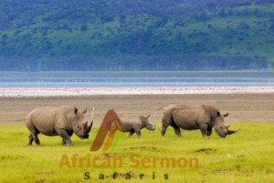 6 Days safari in Kenya Maasai Mara and Lake Nakuru trip