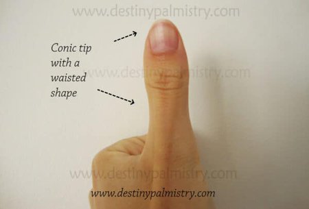 Thumb Tip Shape Meanings in Palmistry - Destiny Palmistry