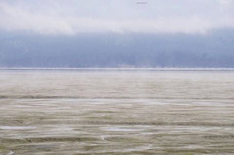 Arcata Bay